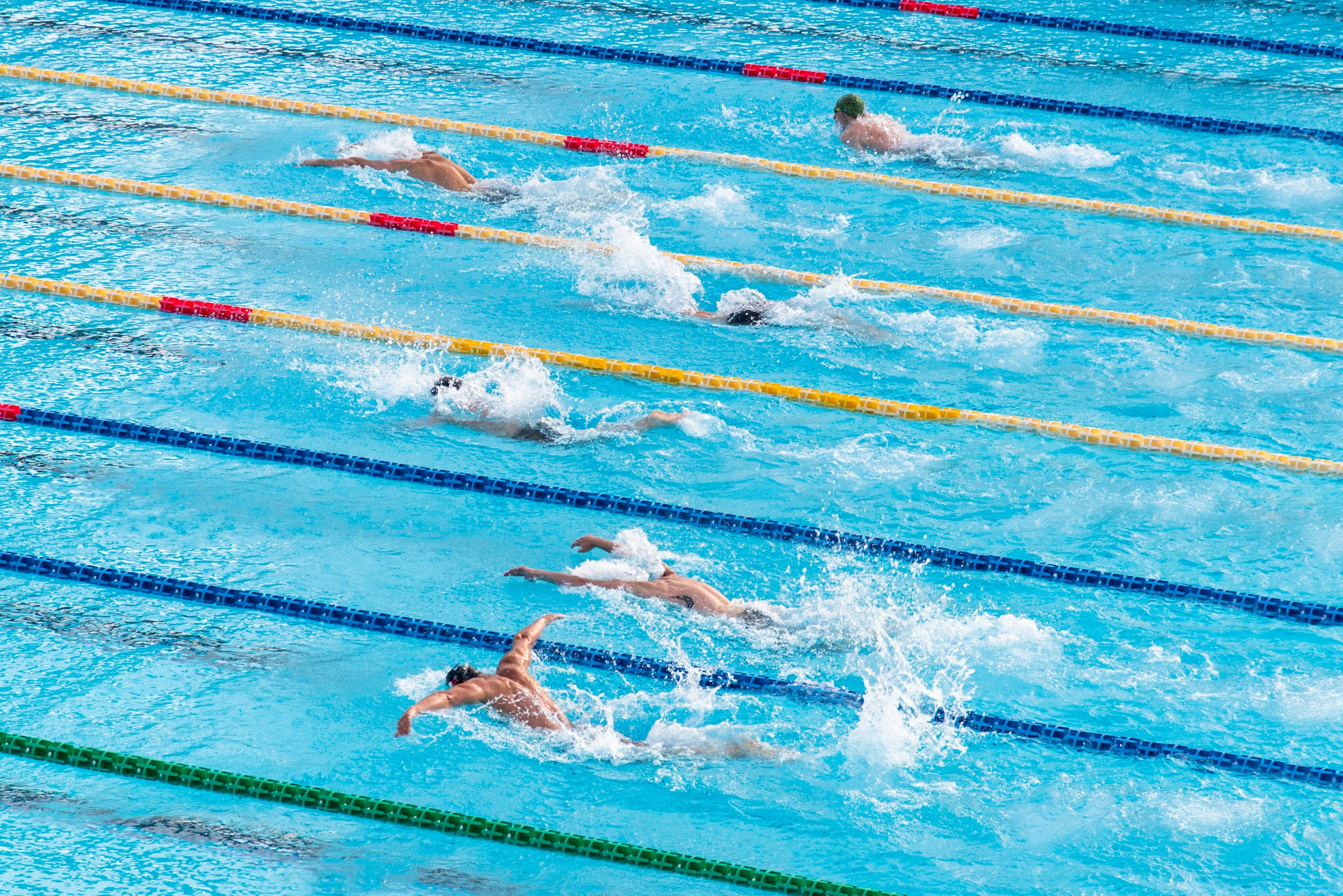 Swimming & Diving